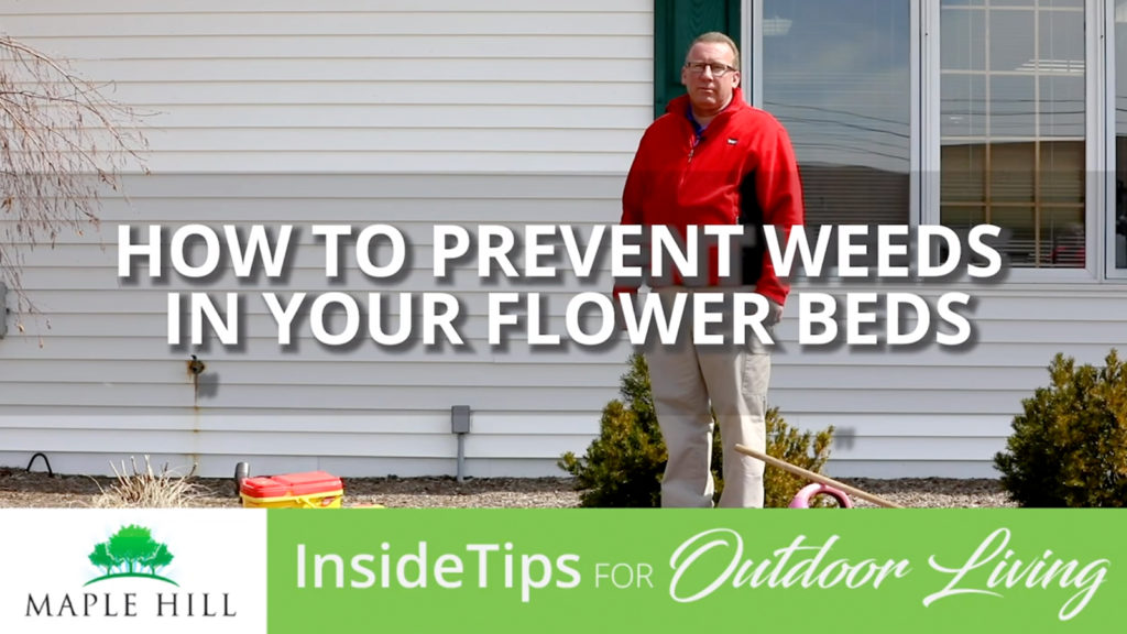 How To Prevent Weeds In Your Flower Beds Maple Hill Nursery